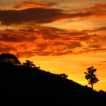 Asin Sunset
