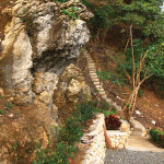 Ecowalk