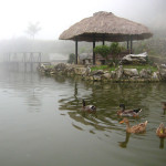 Pond